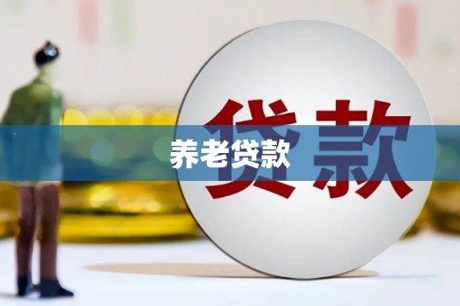 盐山养老贷款