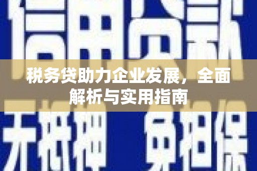 盐山税务贷助力企业发展，全面解析与实用指南