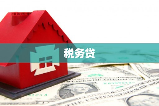 盐山税务贷