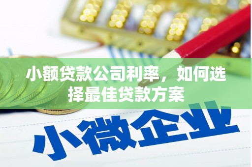 盐山小额贷款公司利率，如何选择最佳贷款方案