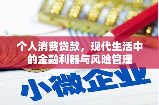 盐山个人消费贷款，现代生活中的金融利器与风险管理