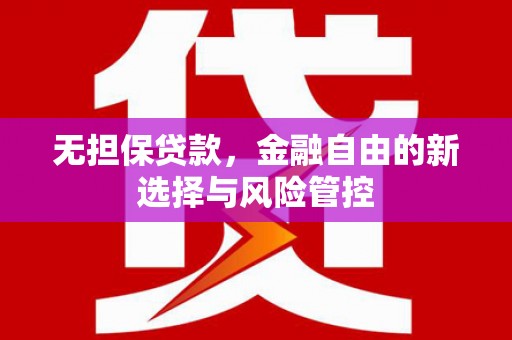 盐山无担保贷款，金融自由的新选择与风险管控