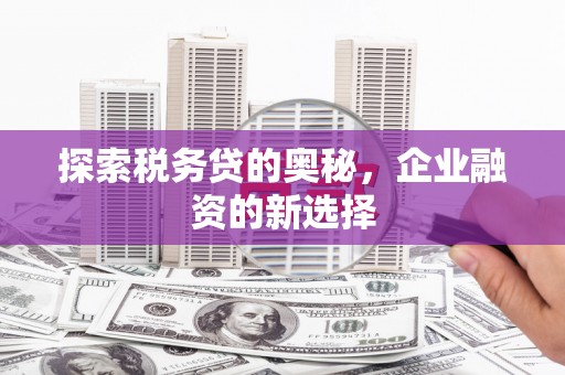 盐山探索税务贷的奥秘，企业融资的新选择