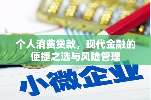 盐山个人消费贷款，现代金融的便捷之选与风险管理