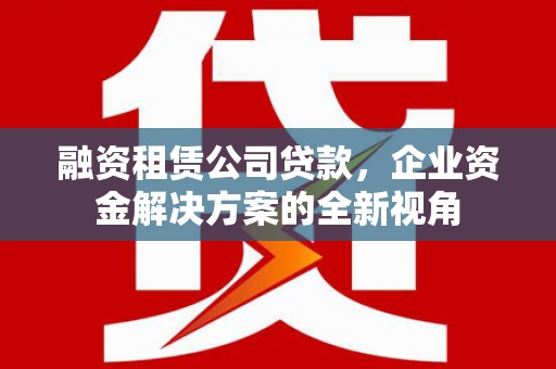 盐山融资租赁公司贷款，企业资金解决方案的全新视角