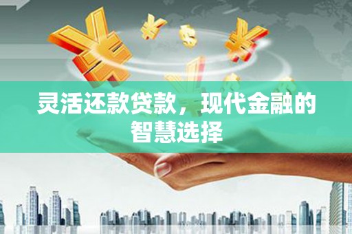 盐山灵活还款贷款，现代金融的智慧选择