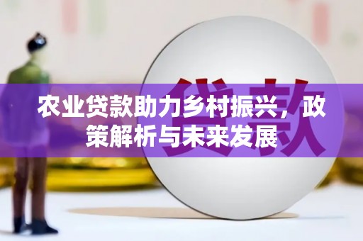 盐山农业贷款助力乡村振兴，政策解析与未来发展