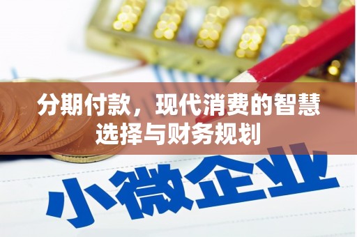 盐山分期付款，现代消费的智慧选择与财务规划