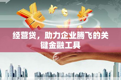 盐山经营贷，助力企业腾飞的关键金融工具