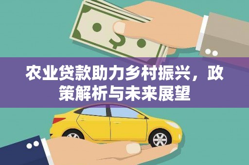 盐山农业贷款助力乡村振兴，政策解析与未来展望