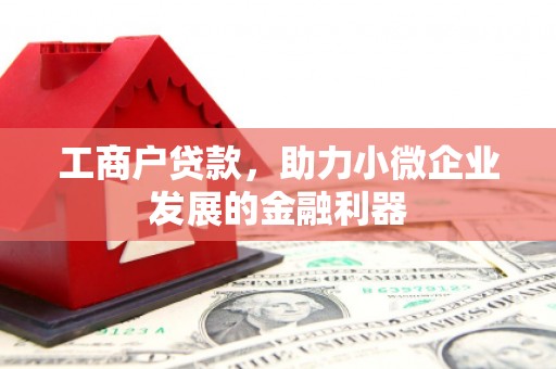 盐山工商户贷款，助力小微企业发展的金融利器