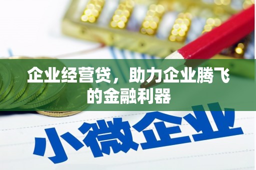 盐山企业经营贷，助力企业腾飞的金融利器