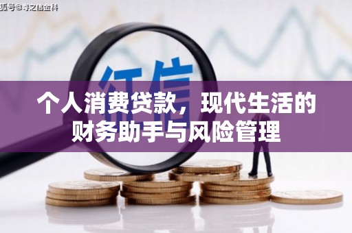 盐山个人消费贷款，现代生活的财务助手与风险管理