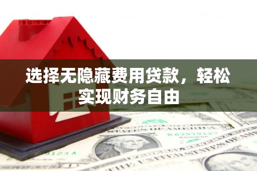 盐山选择无隐藏费用贷款，轻松实现财务自由