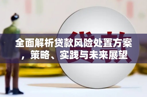 盐山全面解析贷款风险处置方案，策略、实践与未来展望