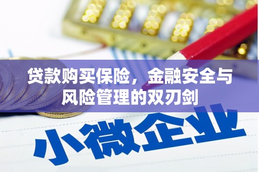 盐山贷款购买保险，金融安全与风险管理的双刃剑
