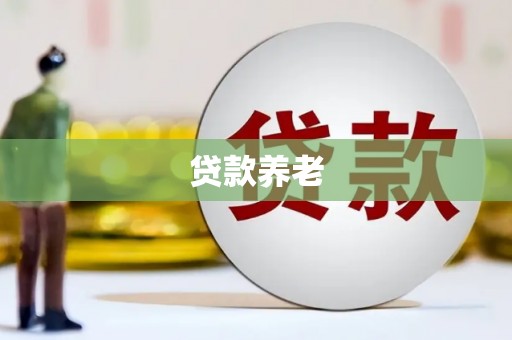 盐山贷款养老