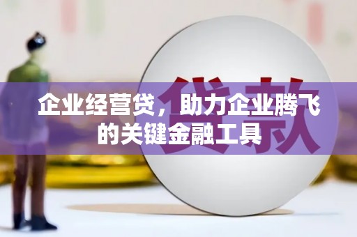 盐山企业经营贷，助力企业腾飞的关键金融工具
