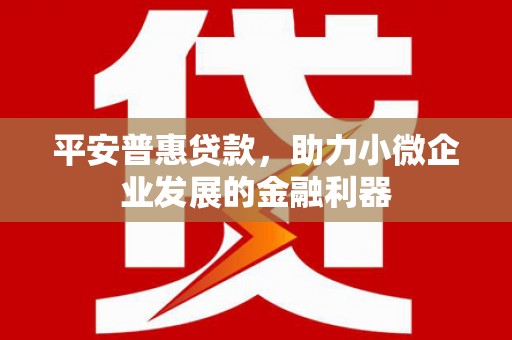 盐山平安普惠贷款，助力小微企业发展的金融利器
