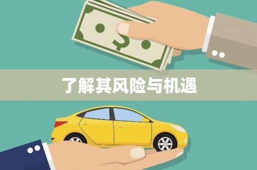盐山了解其风险与机遇