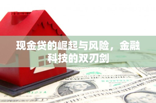 盐山现金贷的崛起与风险，金融科技的双刃剑
