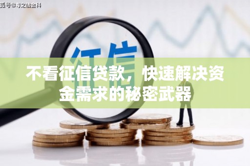 盐山不看征信贷款，快速解决资金需求的秘密武器