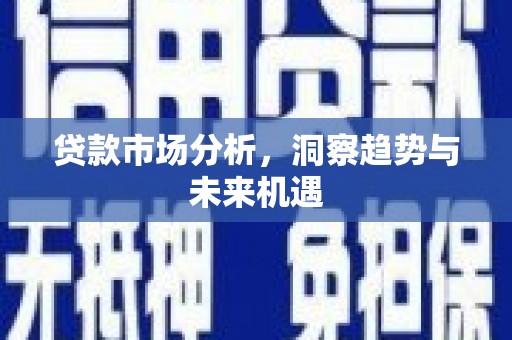 盐山贷款市场分析，洞察趋势与未来机遇