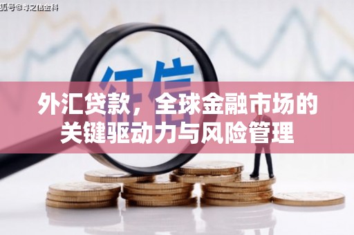 盐山外汇贷款，全球金融市场的关键驱动力与风险管理