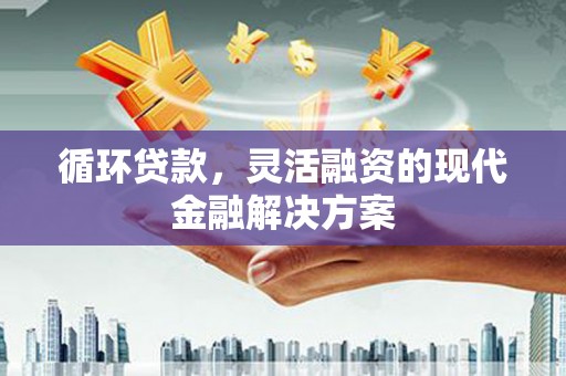 盐山循环贷款，灵活融资的现代金融解决方案