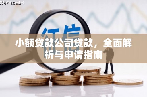 盐山小额贷款公司贷款，全面解析与申请指南
