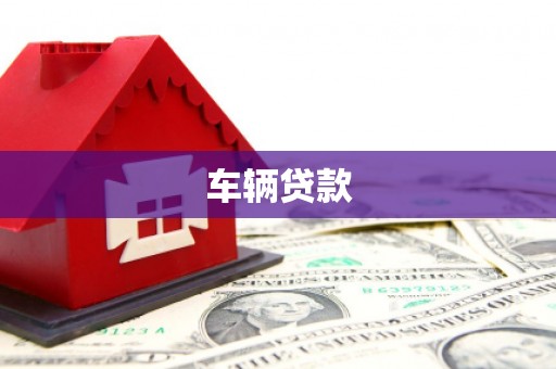 盐山车辆贷款