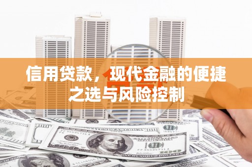 盐山信用贷款，现代金融的便捷之选与风险控制