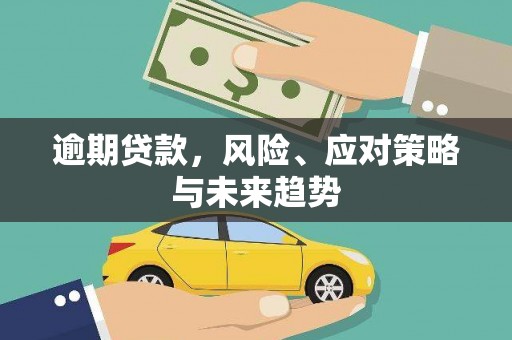 盐山逾期贷款，风险、应对策略与未来趋势