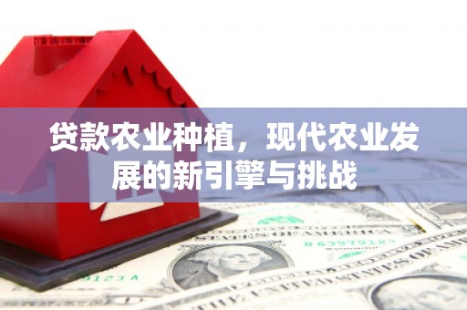 盐山贷款农业种植，现代农业发展的新引擎与挑战