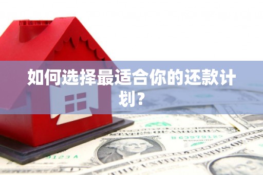 盐山如何选择最适合你的还款计划？