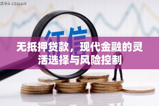 盐山无抵押贷款，现代金融的灵活选择与风险控制