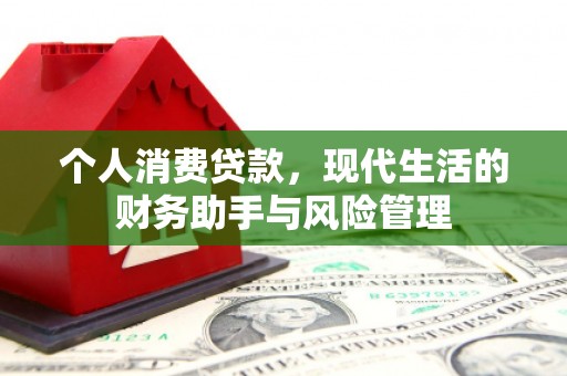盐山个人消费贷款，现代生活的财务助手与风险管理