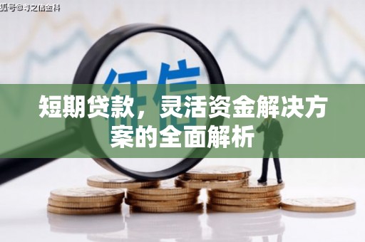 盐山短期贷款，灵活资金解决方案的全面解析