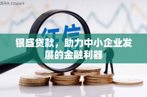 盐山银盛贷款，助力中小企业发展的金融利器