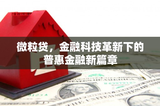 盐山微粒贷，金融科技革新下的普惠金融新篇章