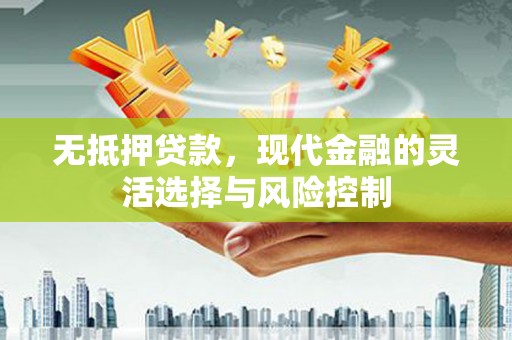 盐山无抵押贷款，现代金融的灵活选择与风险控制