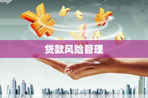 盐山贷款风险管理