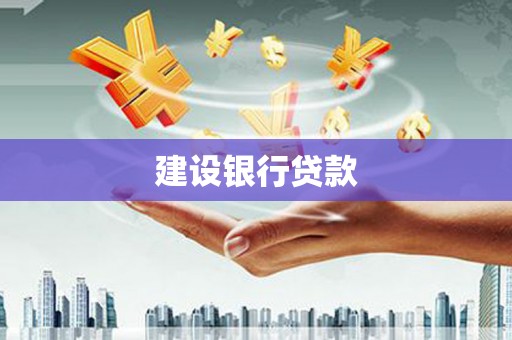 盐山建设银行贷款