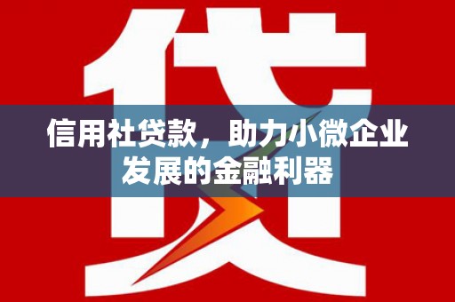 盐山信用社贷款，助力小微企业发展的金融利器