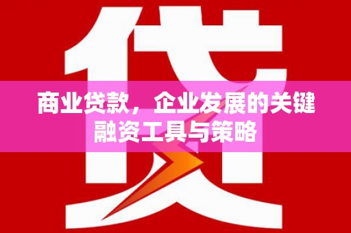 盐山商业贷款，企业发展的关键融资工具与策略