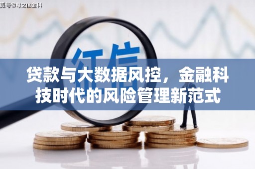 盐山贷款与大数据风控，金融科技时代的风险管理新范式