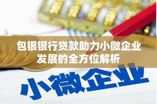 盐山包银银行贷款助力小微企业发展的全方位解析