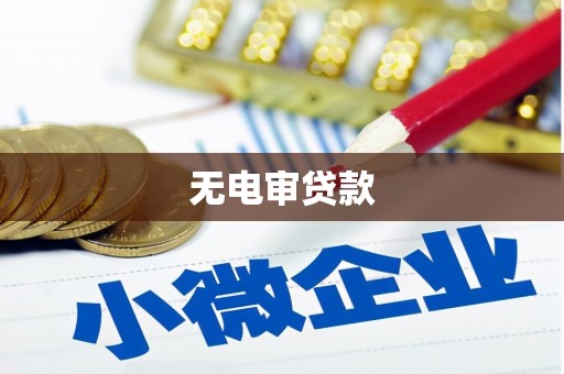 盐山无电审贷款