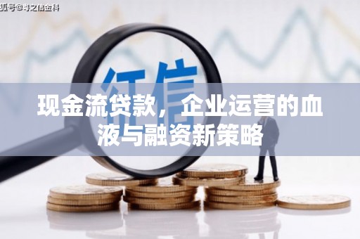 盐山现金流贷款，企业运营的血液与融资新策略