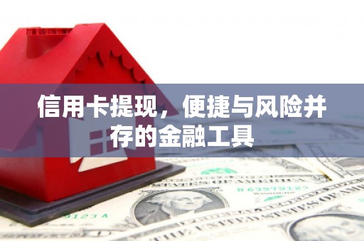 盐山信用卡提现，便捷与风险并存的金融工具